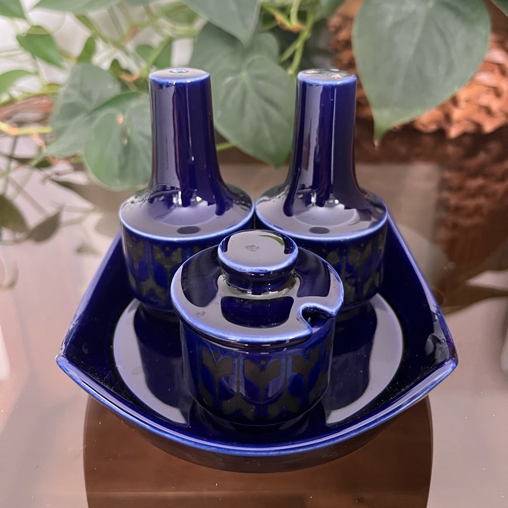 Hornsea Heirloom Salt and Pepper Set (4 pieces)